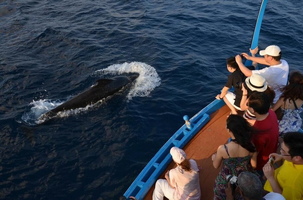 Фото Smera Grand