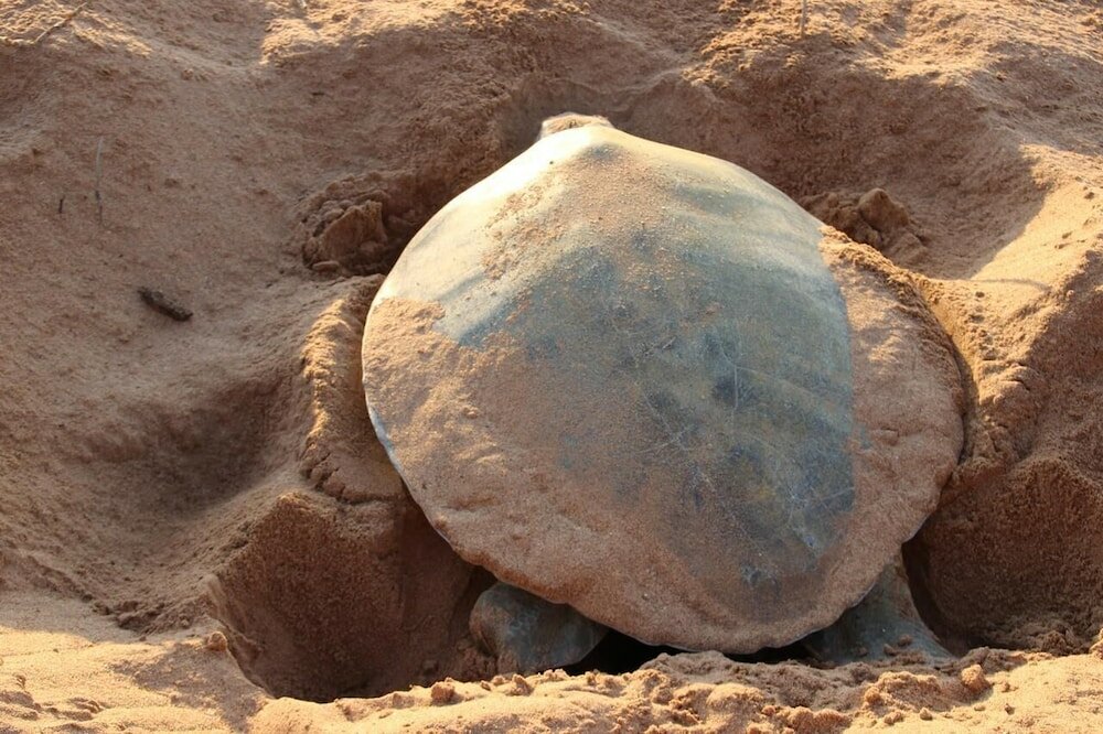 Фото Port Tourist Park