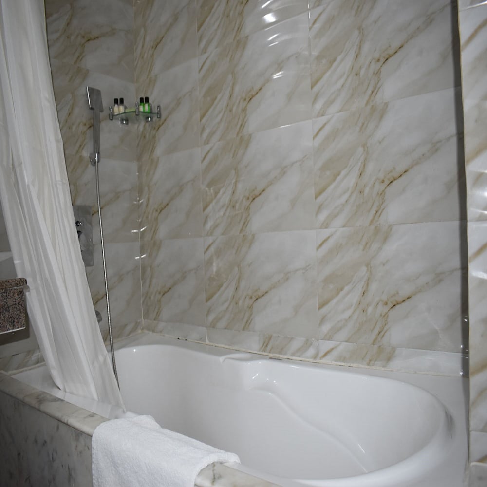 Фото Hotel Anand International