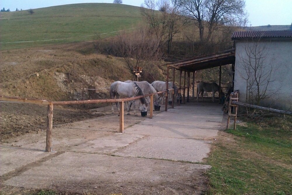 Фото Penzion Leštiny