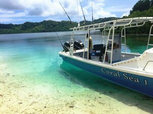 Гостиница Coral Sea Resort & Casino