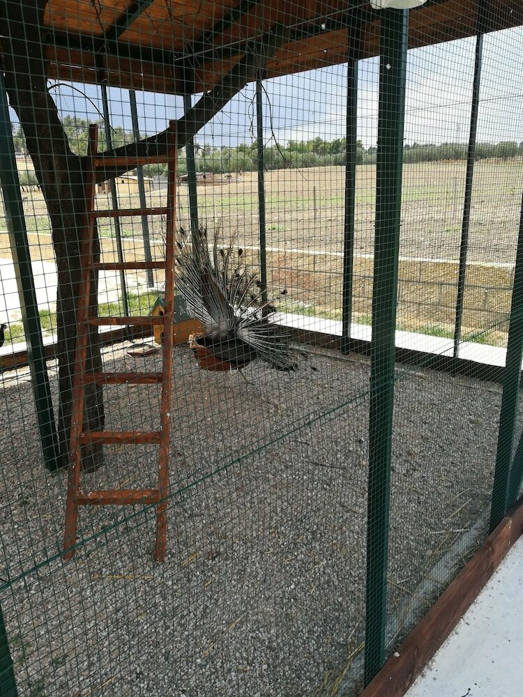 Фото Agriturismo Fieri