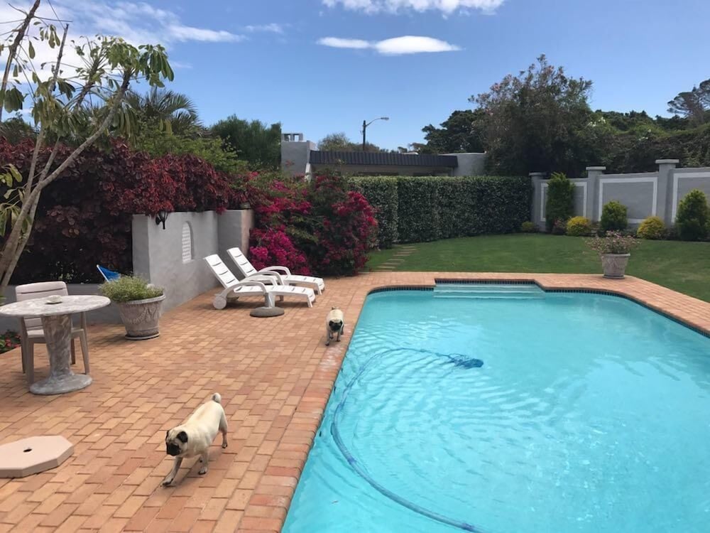 Фото Pug and Putter