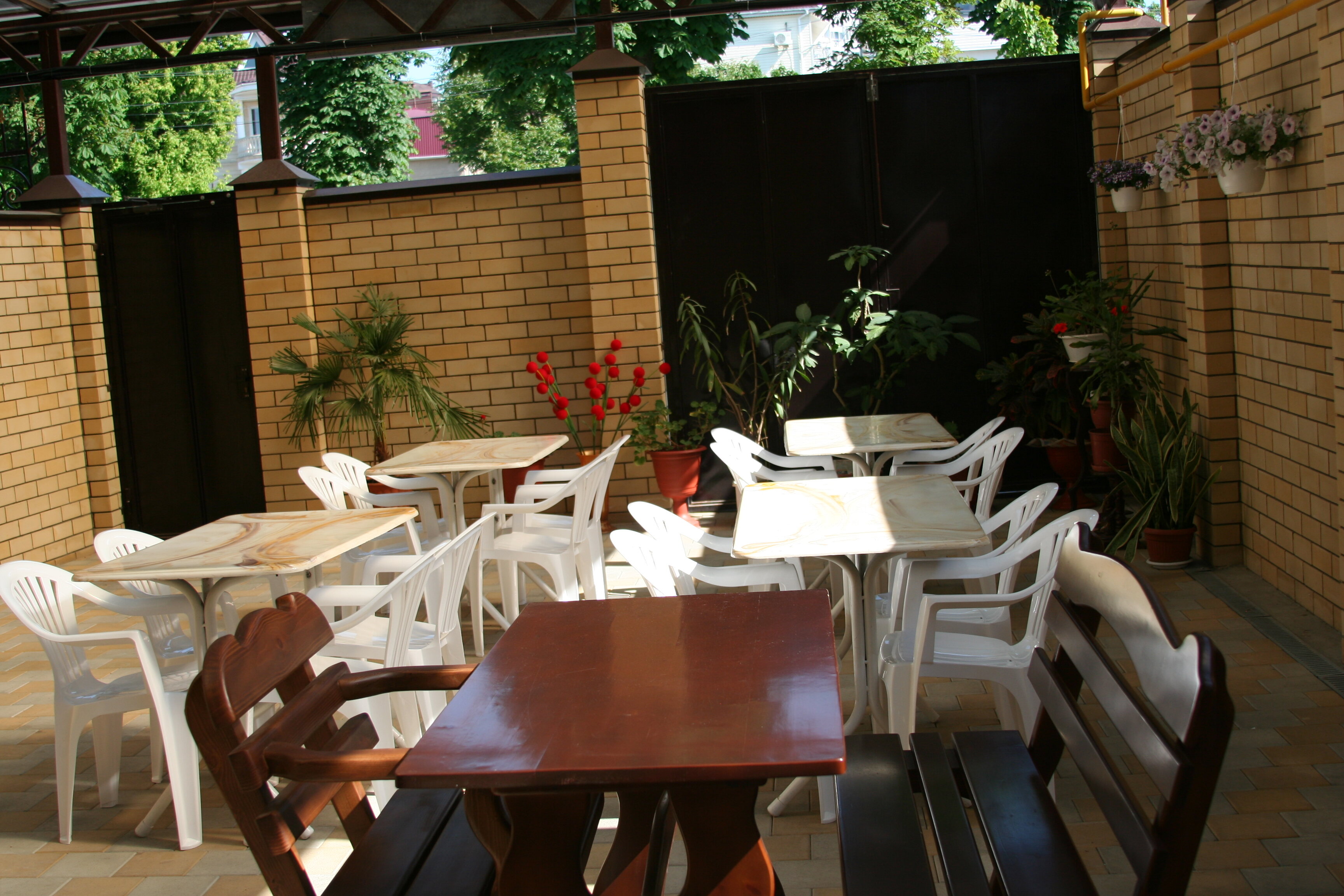 Фото Кипарис