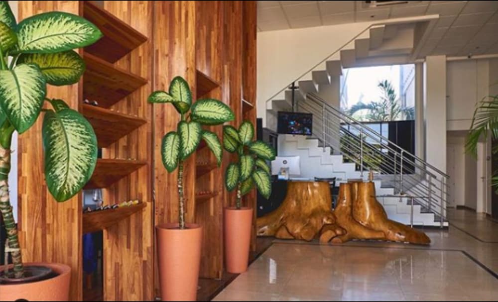 Фото отеля 5