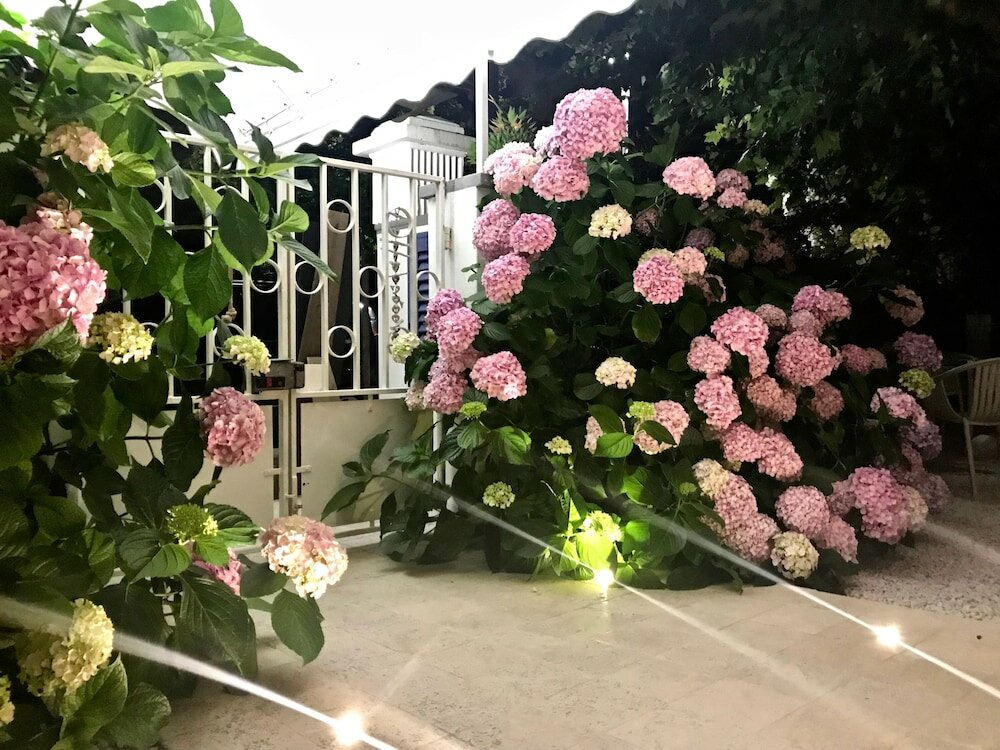 Фото Petit Hotel