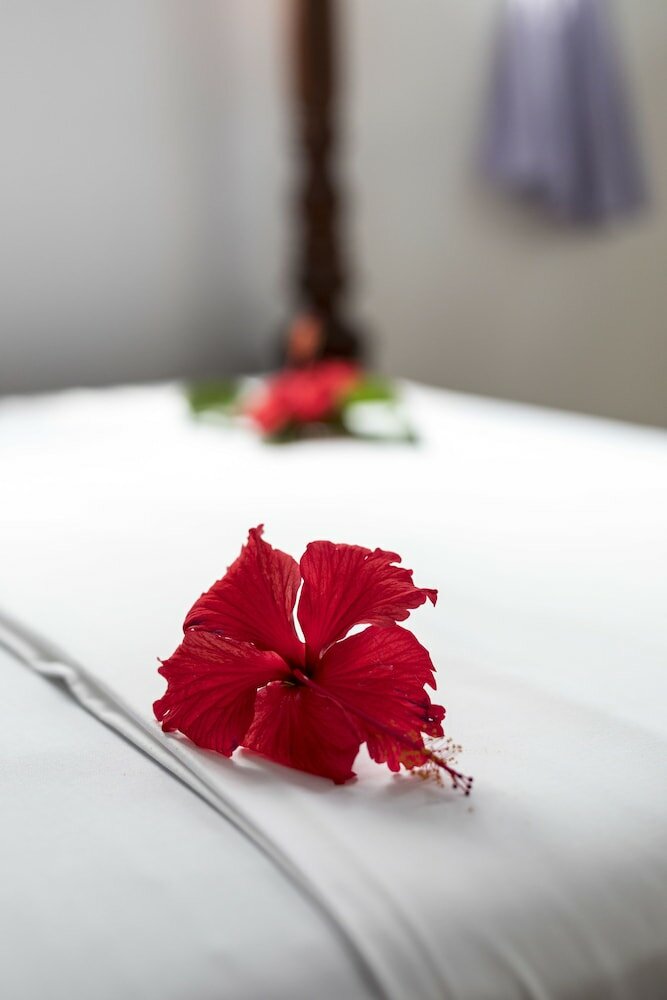 Фото KiteActive Guesthouse