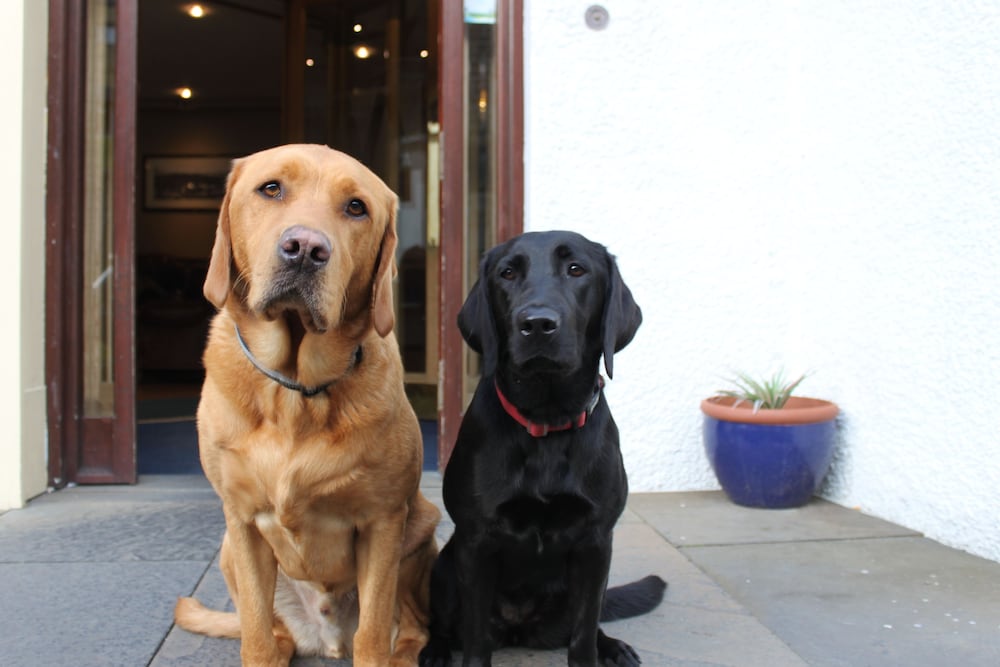 Фото Mackays Hotel Wick