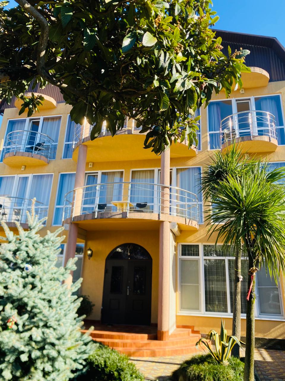 Фото Аврора