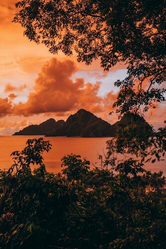 Гостиница The Birdhouse El Nido - Glamping