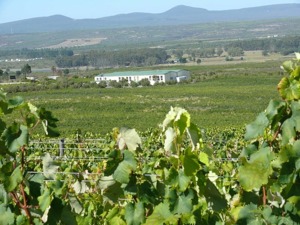 Фото Misty Mountains