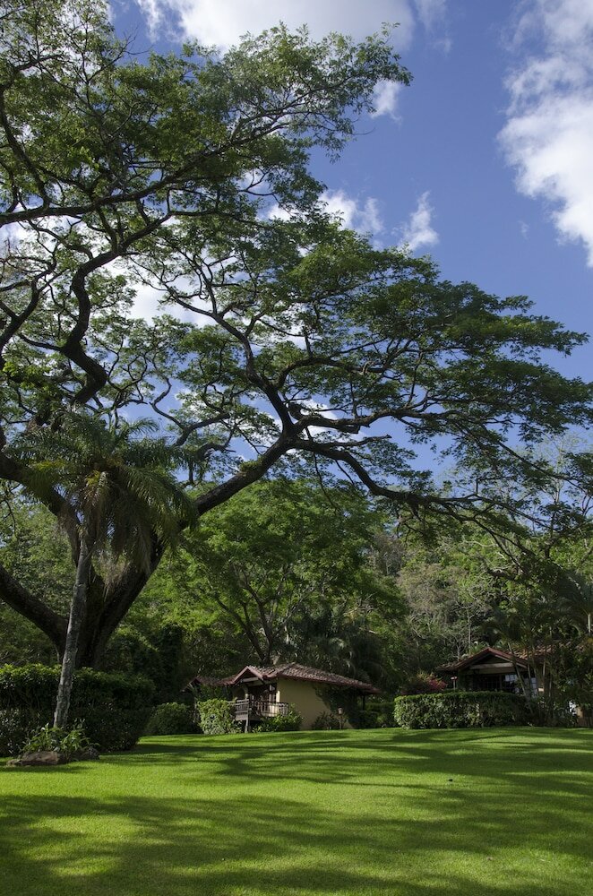 Фото Borinquen Thermal Resort