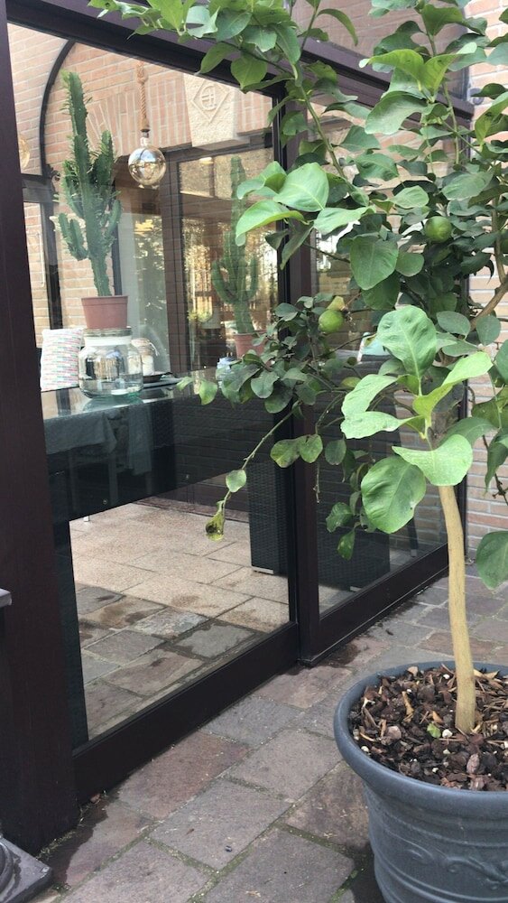 Фото Euro House Inn Airport Hotel & Residence