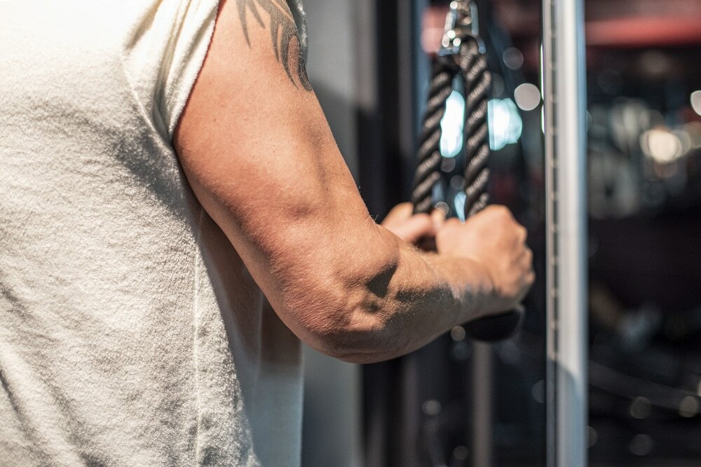 Фото Statt Hassleholm, Bw Signature Collection