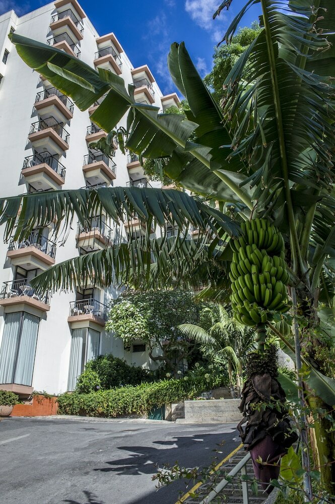 Фото Dorisol Buganvilia 