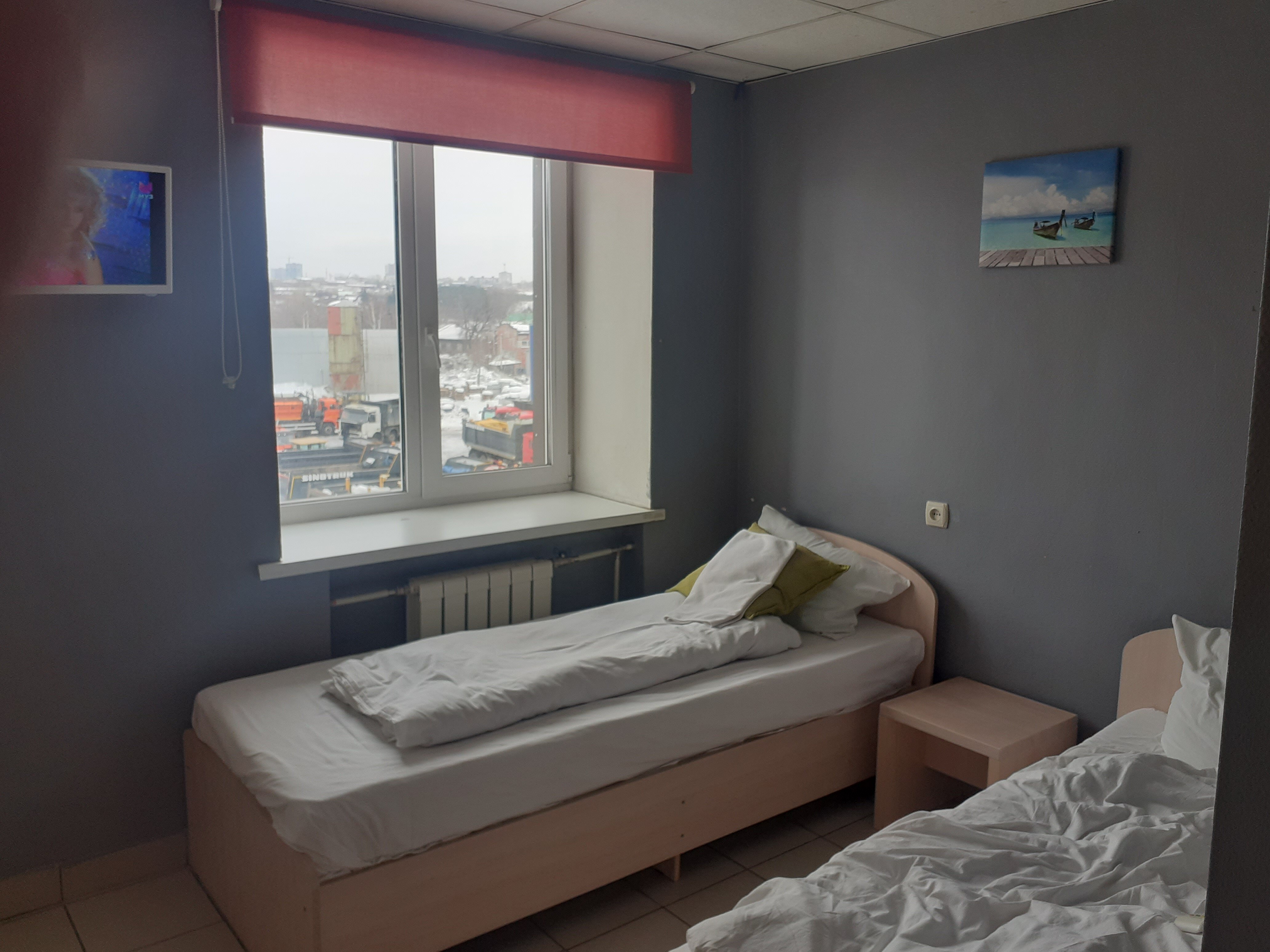 Фото Альбатрос