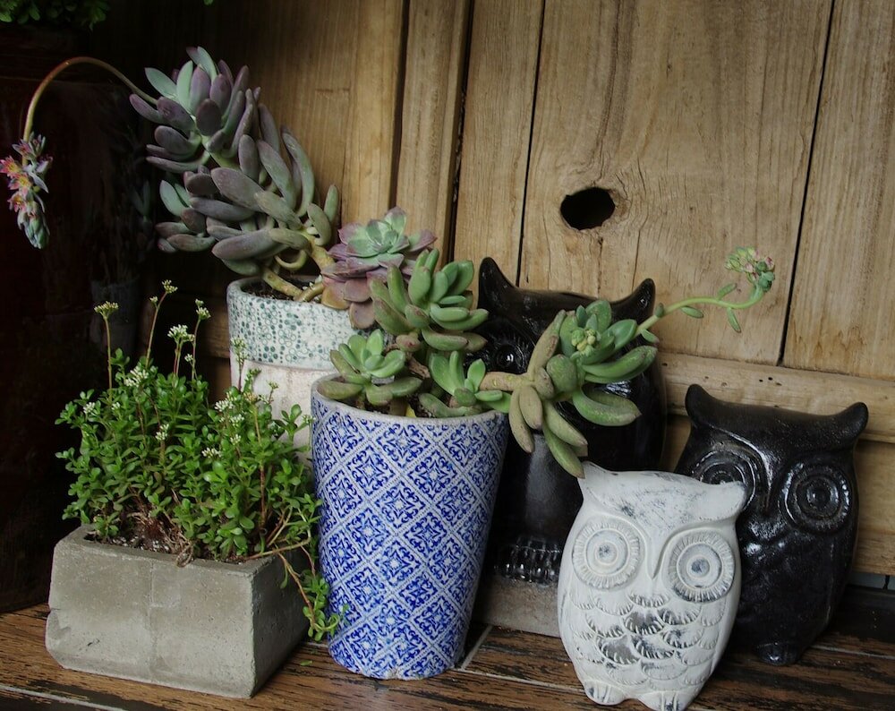 Фото Beijing Shangchao