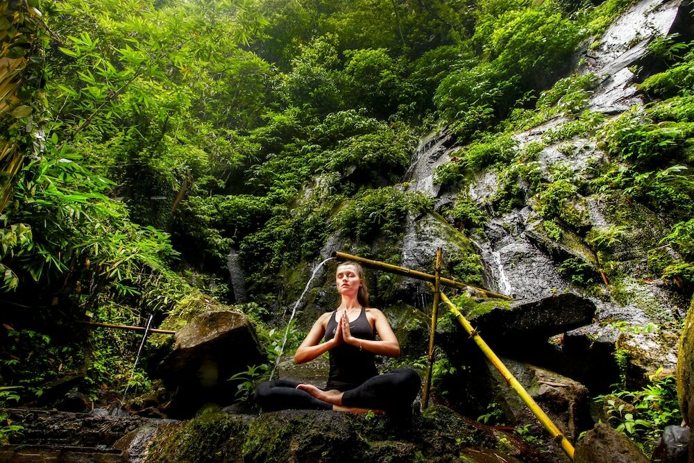 Фото Nandini Jungle by Hanging Gardens