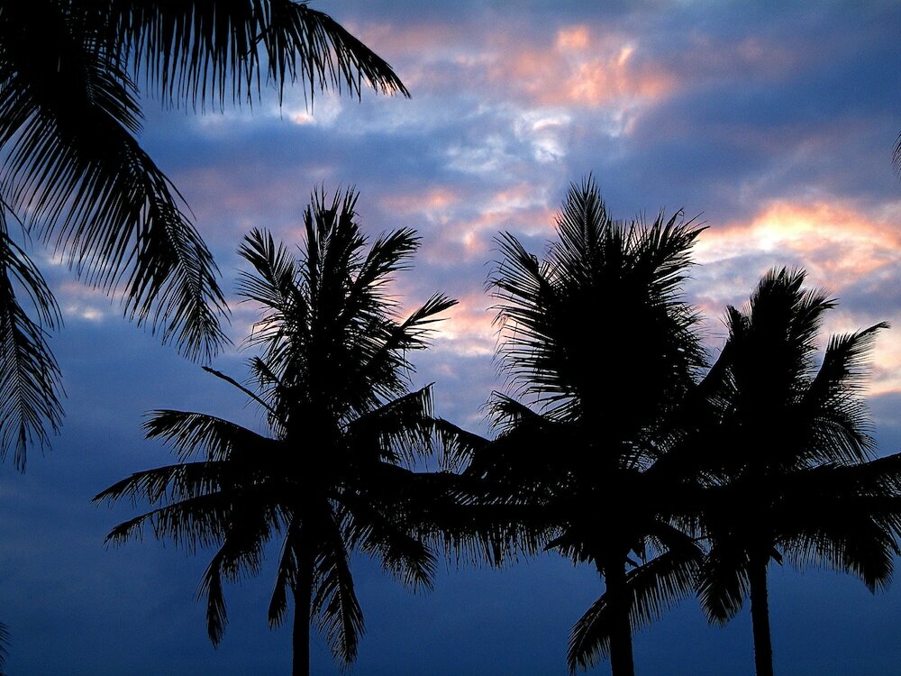 Фото Pinewood Beach Resort and SPA