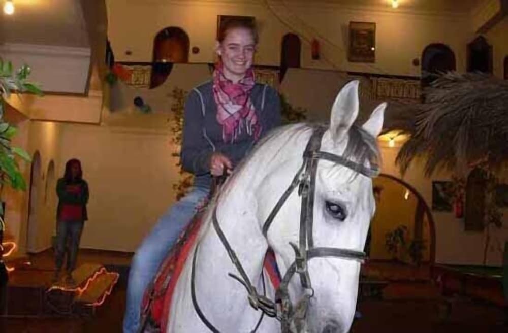 Фото Dahab Plaza Hotel