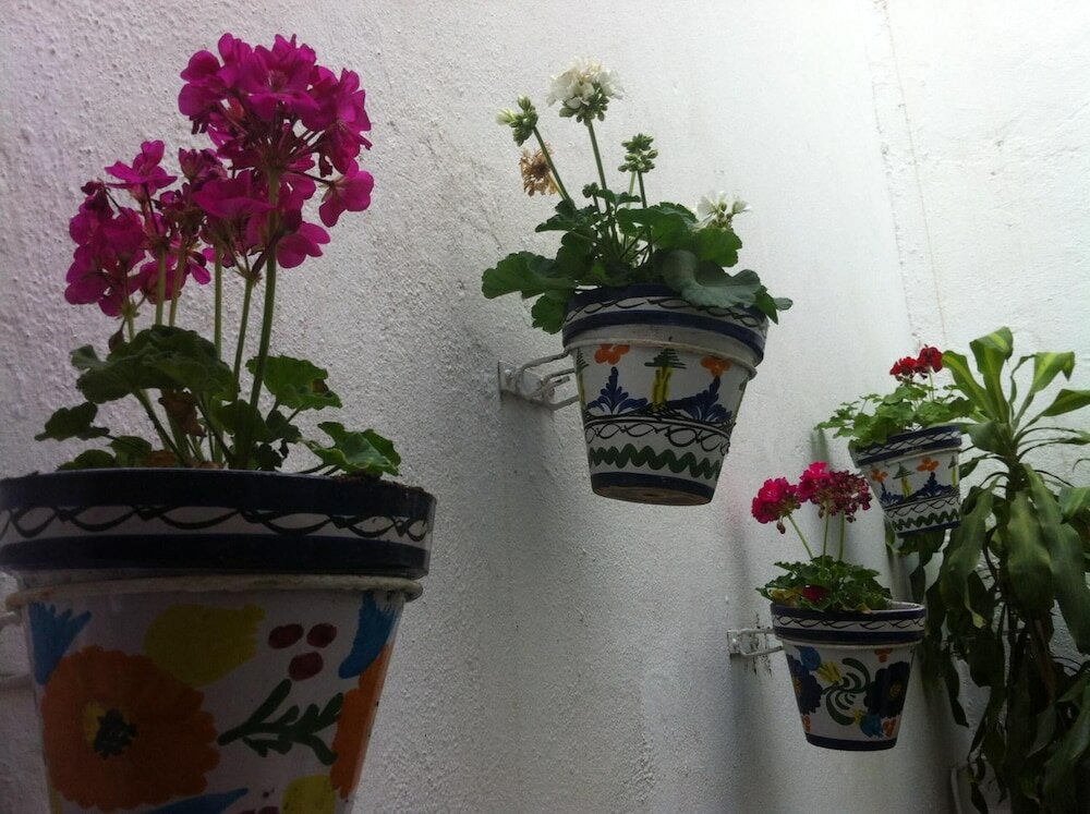 Фото Hostal Berlin