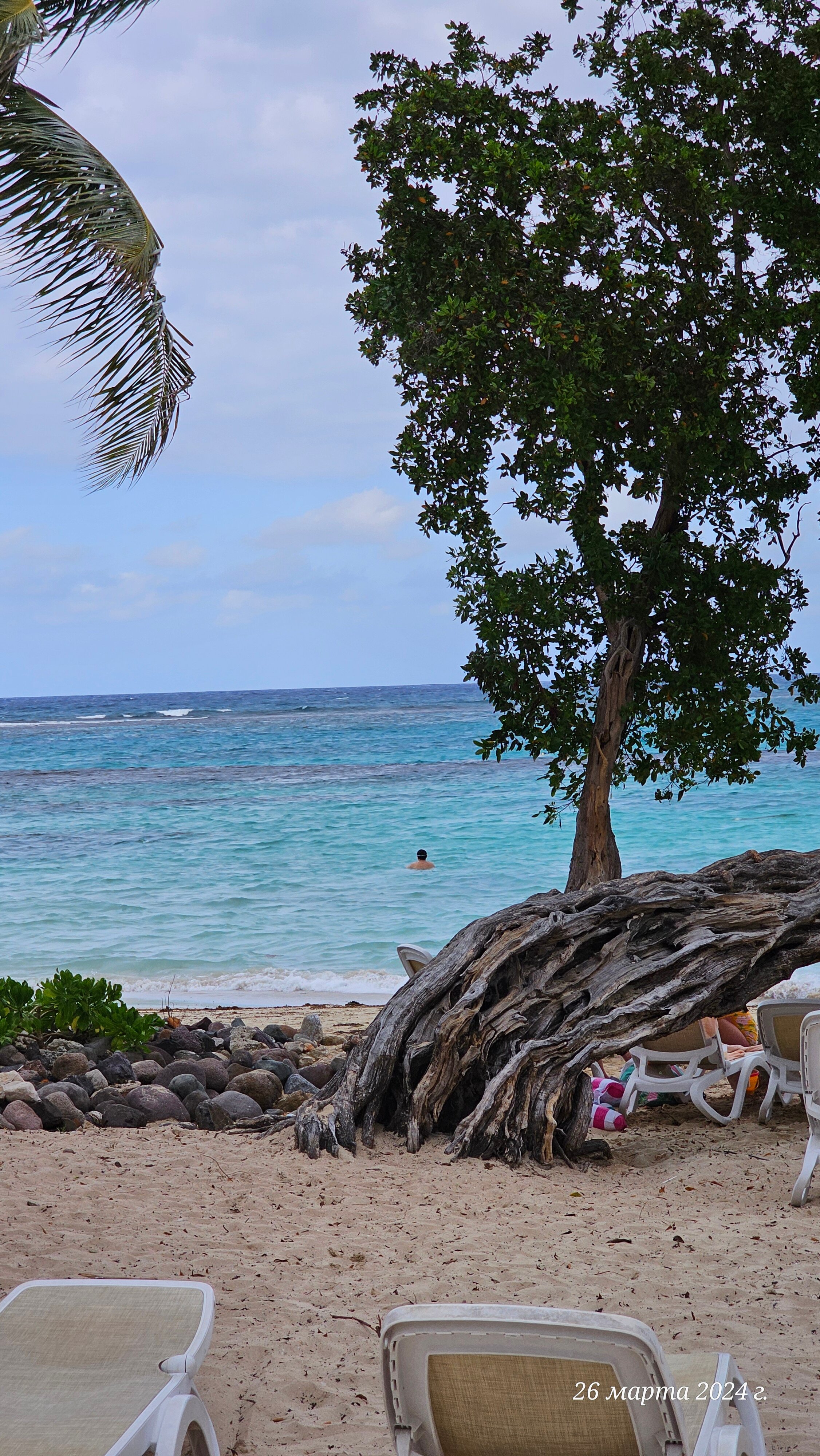 Фото Riu Ocho Rios All Inclusive