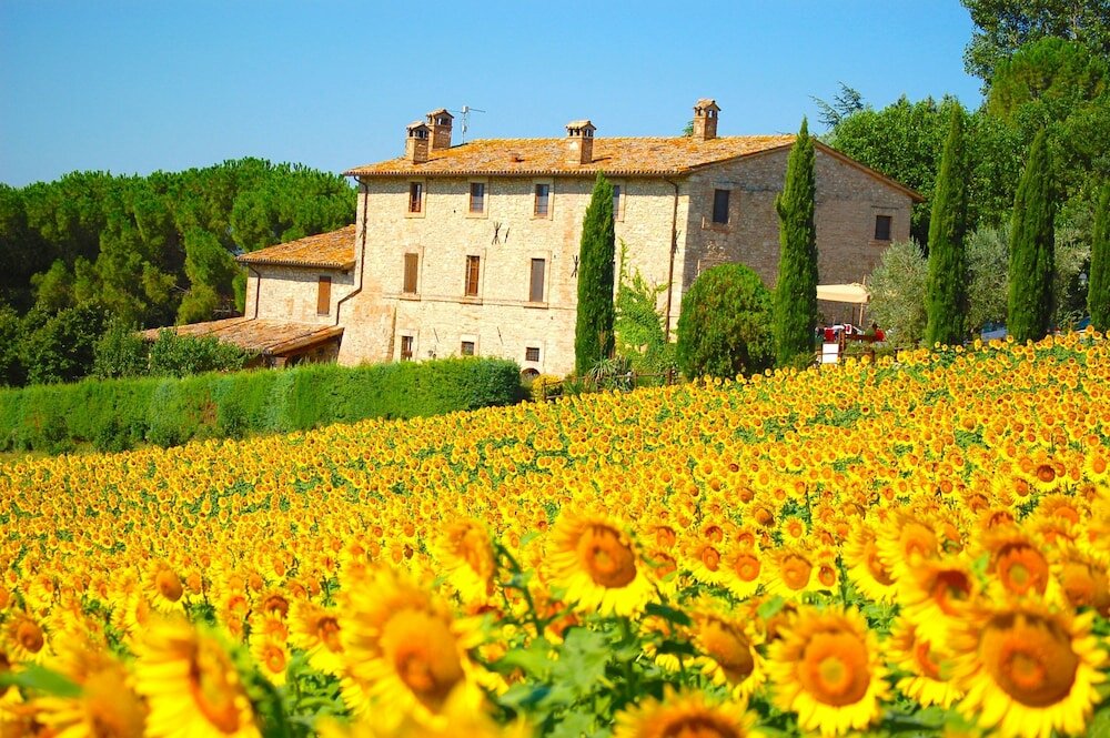 Фото Agriturismo Casale dei Frontini