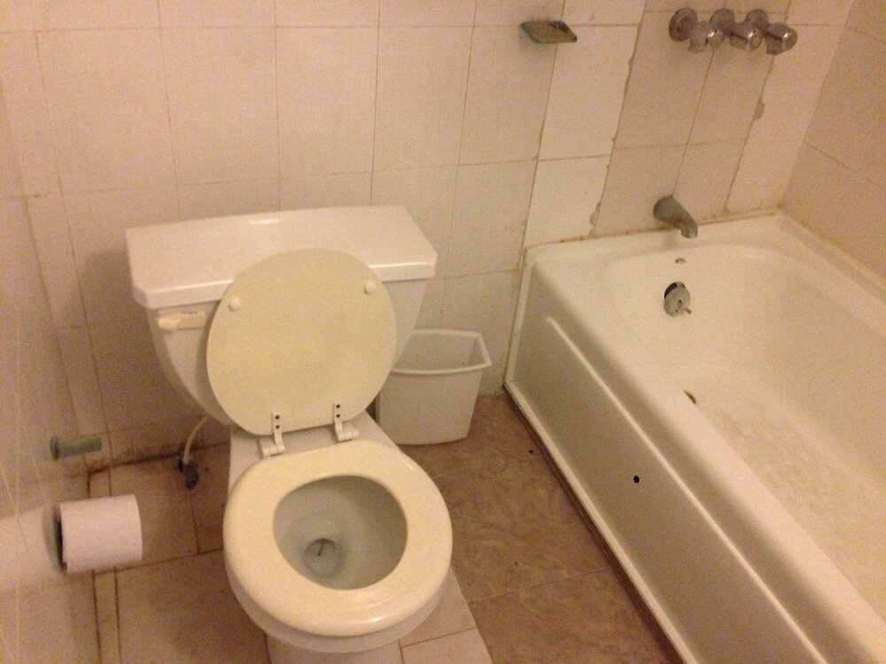 Фото Milien Continental