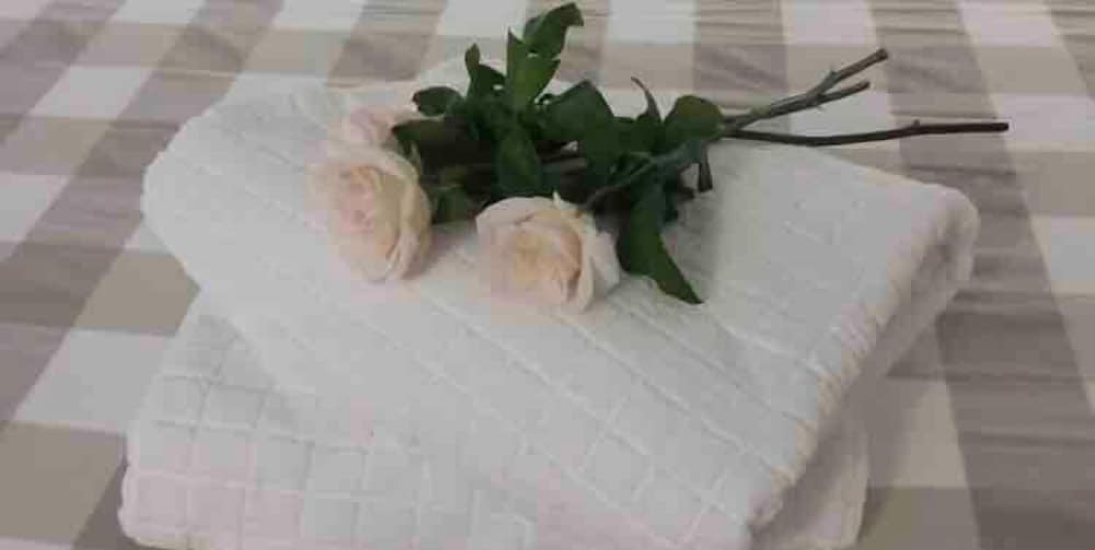 Фото Oasi Del Plebiscito