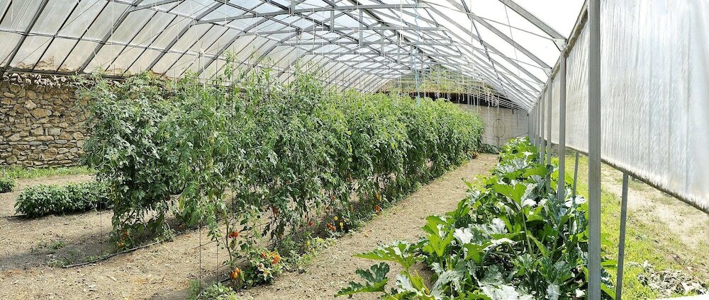 Фото Fattoria Giunasco