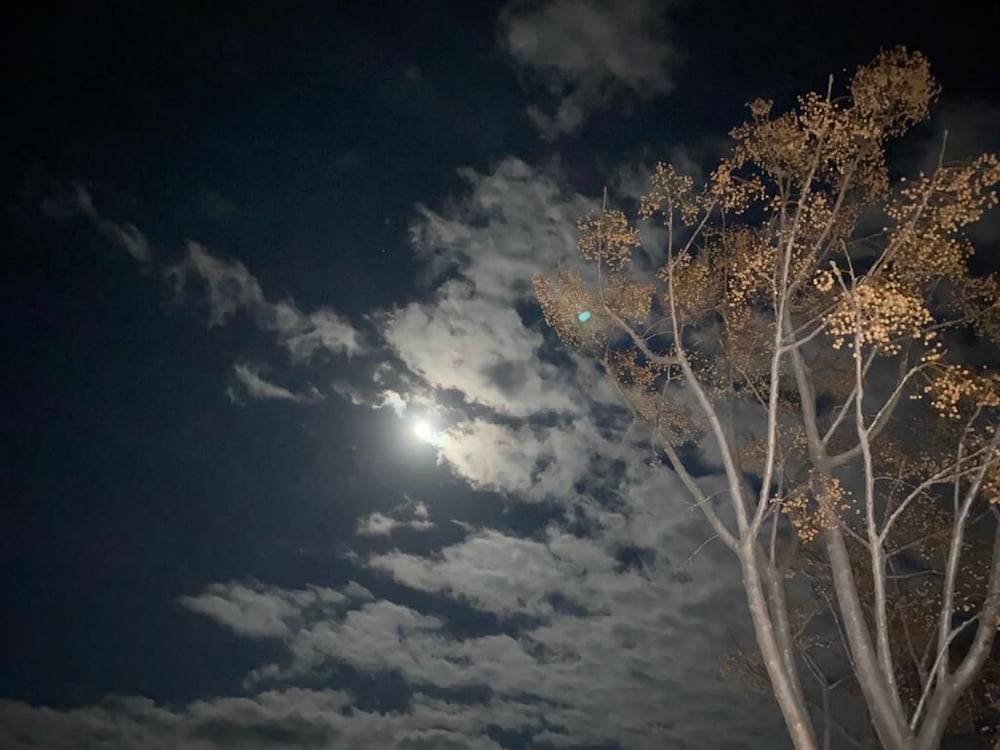 Фото Safa Boulaouane Eco-Lodge