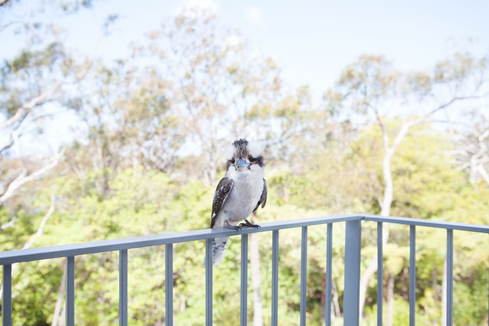 Фото Bannisters Port Stephens