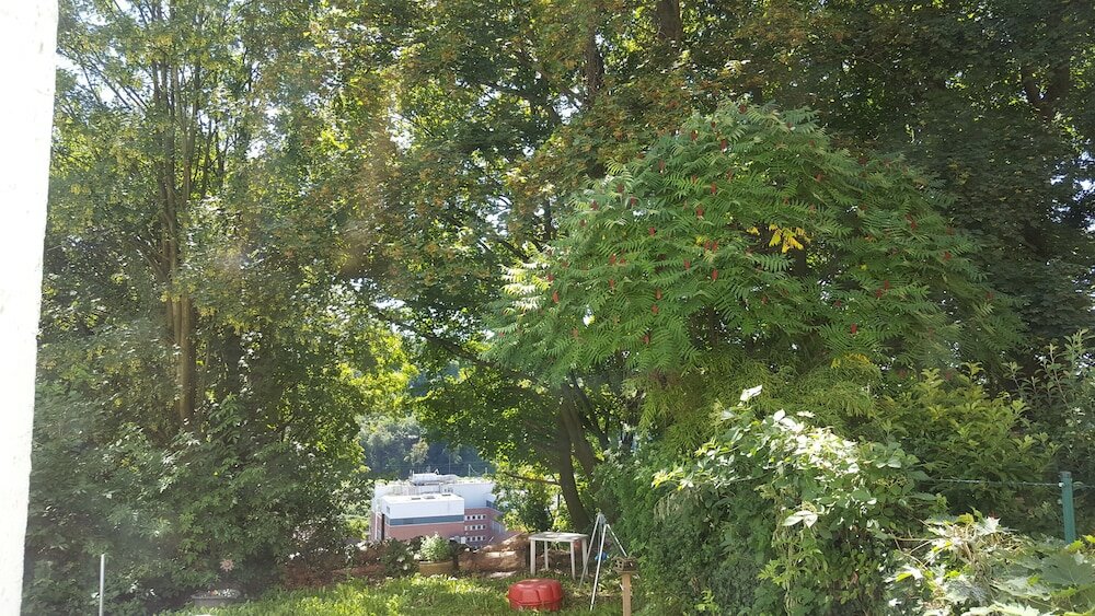 Фото - SP Hotels - Apartment am Nützenberg