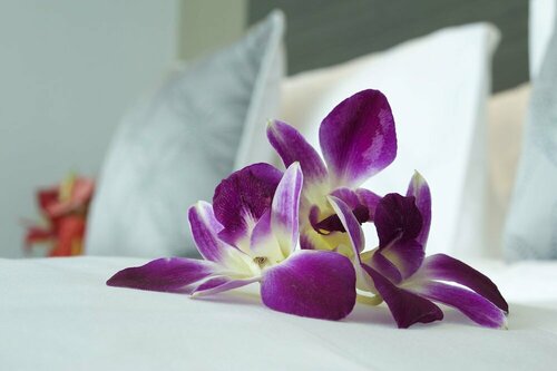 Внешний вид отеля Ibis Semarang Simpang Lima в Семаранге, фото 5