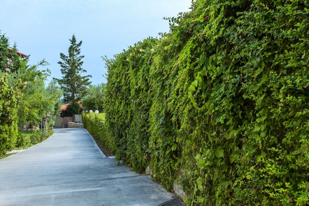 Фото Kriopigi Beach Hotel