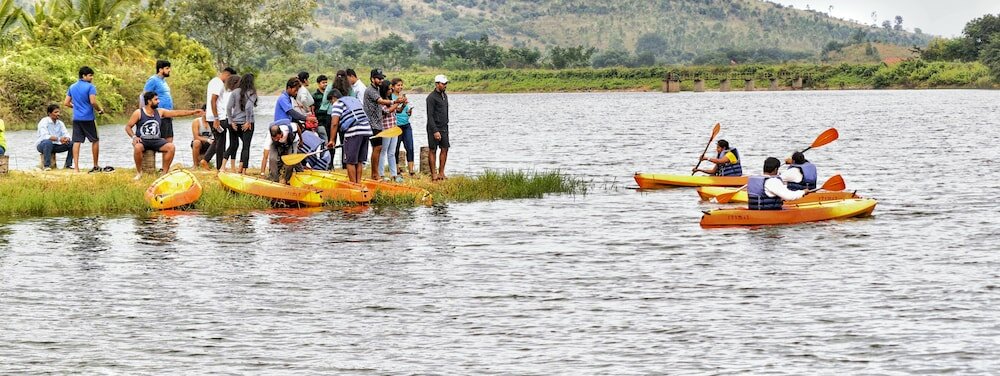 Фото SV Sky Blue Orchids