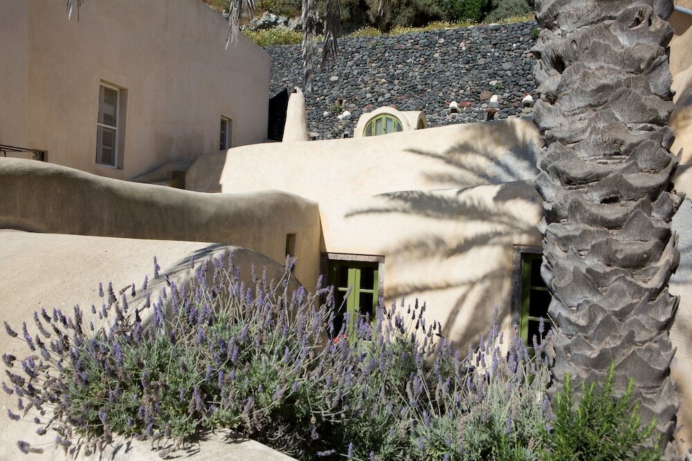 Фото The Palm Tree Residence