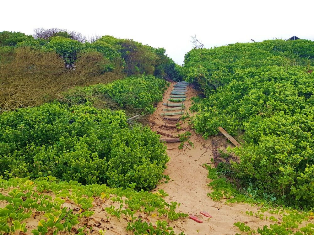 Фото The Blue Whale