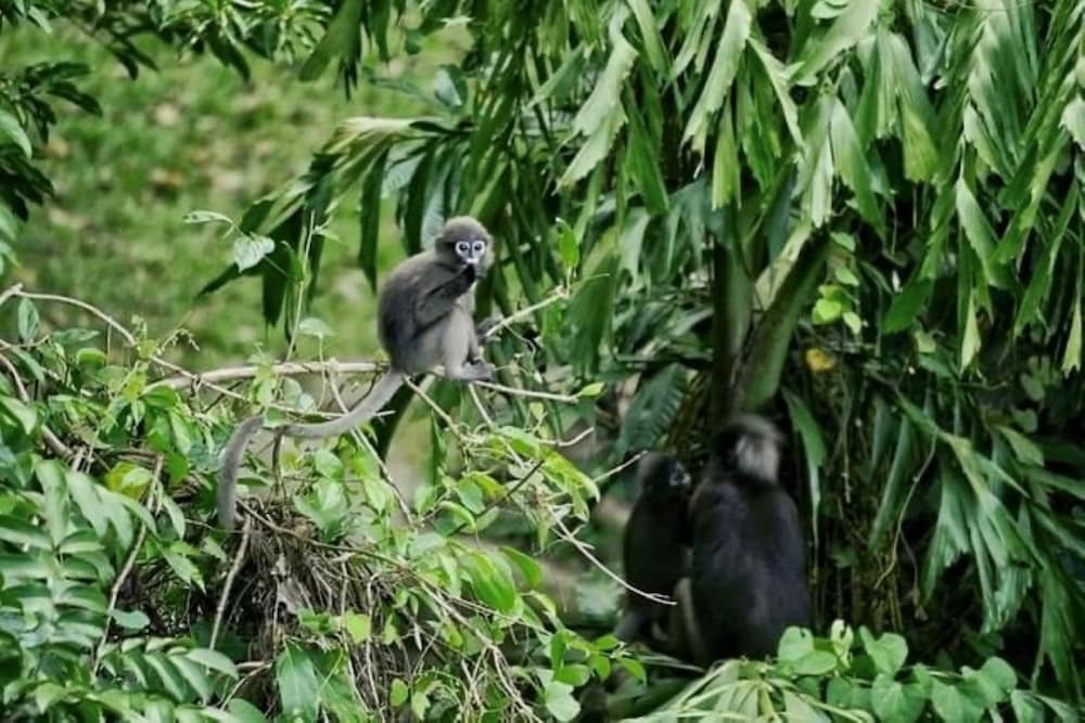 Фото Railay Phutawan Resort