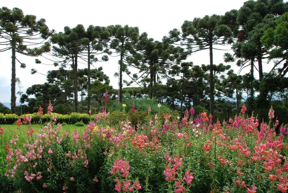 Фото Hotel Toriba