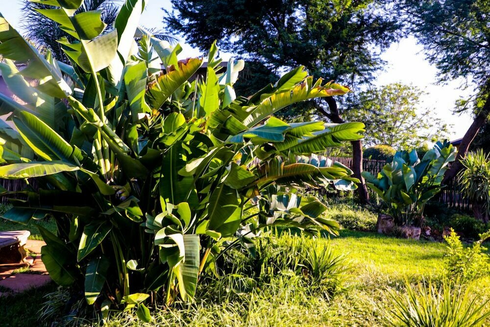 Фото The Exclusive Guest House