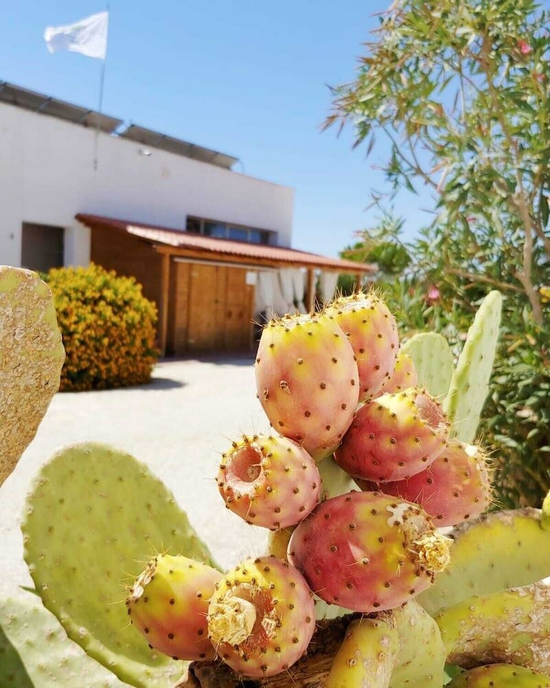 Фото Camping Lilybeo Village