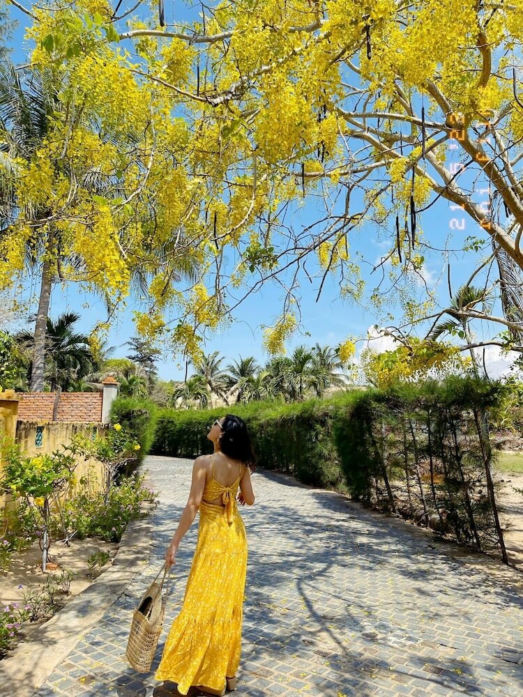 Фото Full Moon Village