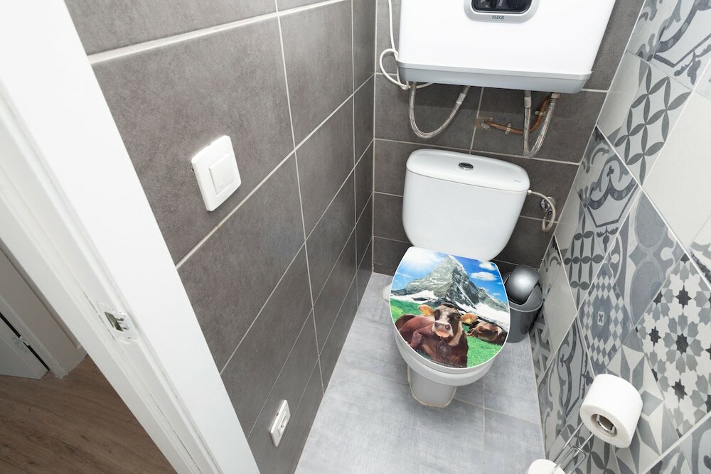 Фото Apartamentos Vaquers Mikka 3000