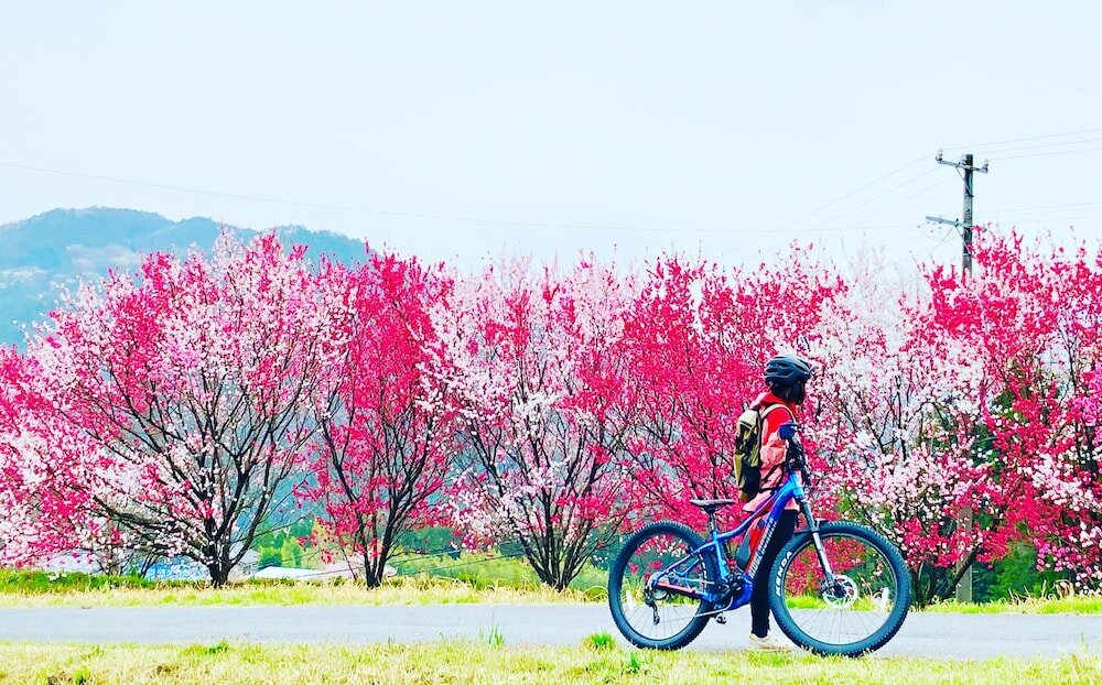 Фото The Expedition Hotel Zenagi