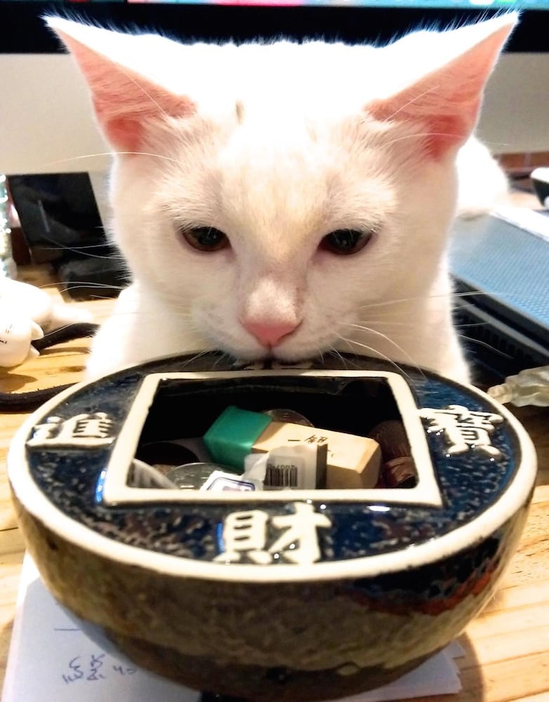 Фото Surfspot House