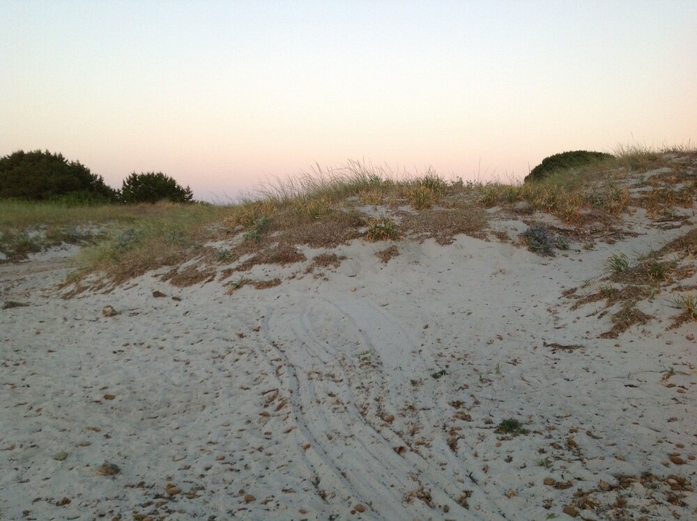 Фото Beach Hotel Budoni