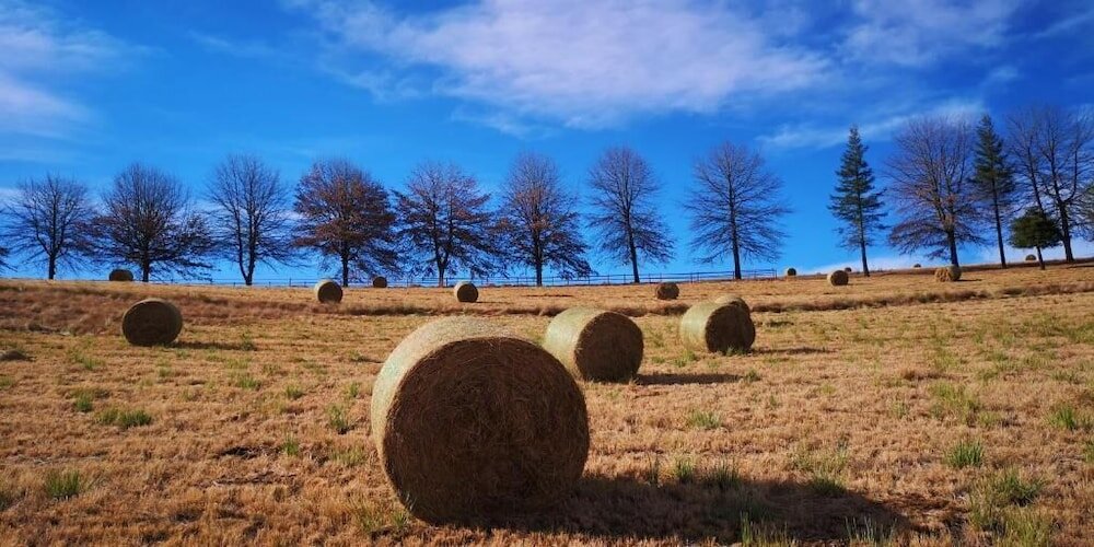 Фото Amazian Mountain River Lodge