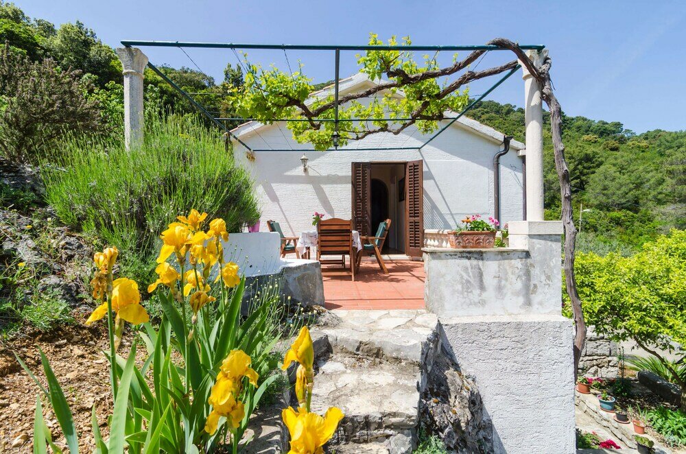 Фото Apartment Nadine