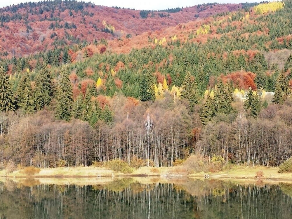 Фото Ski-Lake Cottage Nízke Tatry